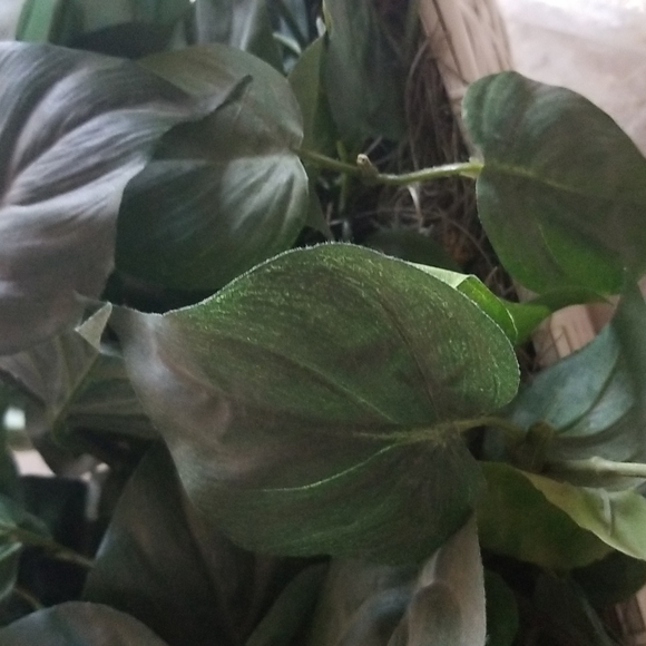 Faux Ivy Hanging Plant - Picture 2 of 3